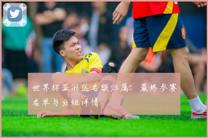 世界杯亚洲区名额归属：最终参赛名单与分组详情