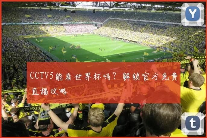 CCTV5能看世界杯吗?解锁官方免费直播攻略