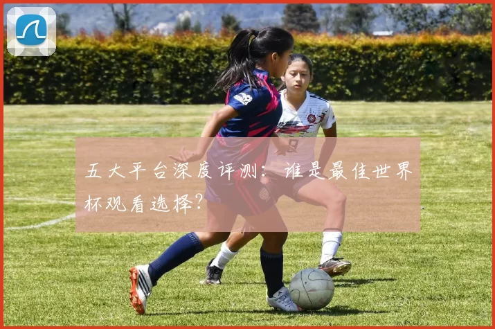 五大平台深度评测:谁是最佳世界杯观看选择?