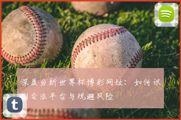 深度分析世界杯博彩网址:如何识别合法平台与规避风险