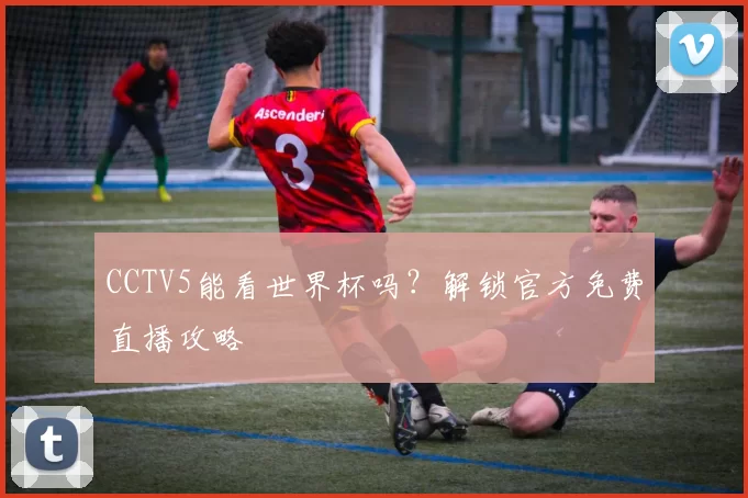 CCTV5能看世界杯吗?解锁官方免费直播攻略