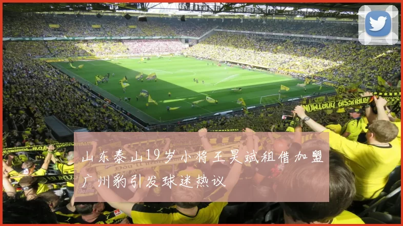 山东泰山19岁小将王昊斌租借加盟广州豹引发球迷热议