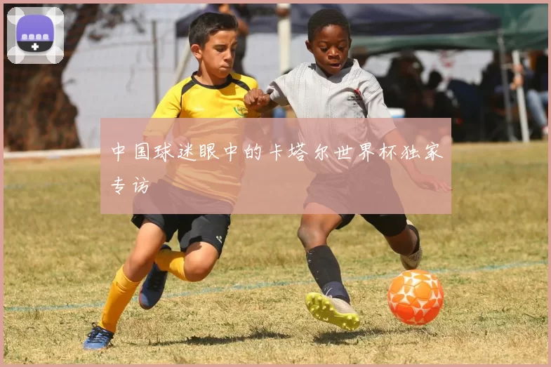 中国球迷眼中的卡塔尔世界杯独家专访