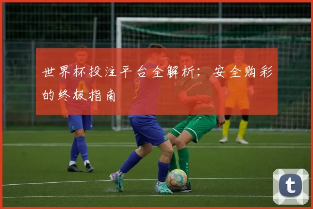 世界杯投注平台全解析：安全购彩的终极指南