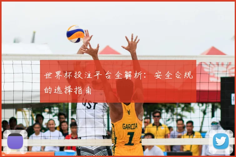 世界杯投注平台全解析：安全合规的选择指南