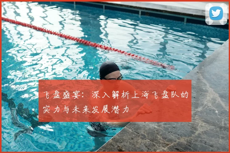 飞盘盛宴:深入解析上海飞盘队的实力与未来发展潜力