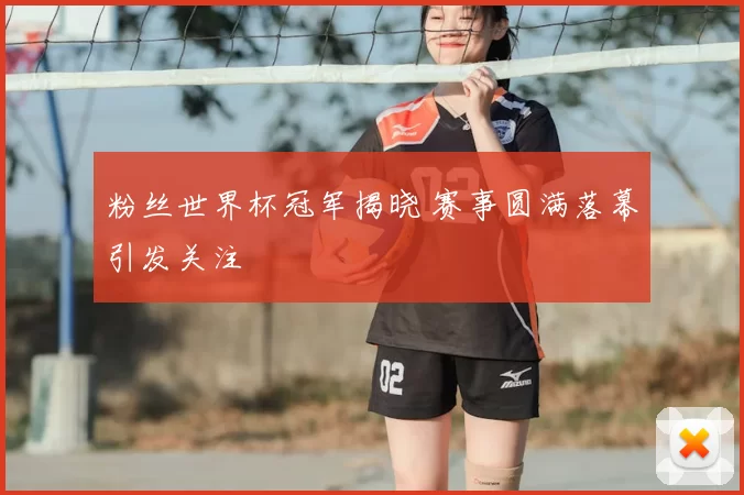 粉丝世界杯冠军揭晓 赛事圆满落幕引发关注