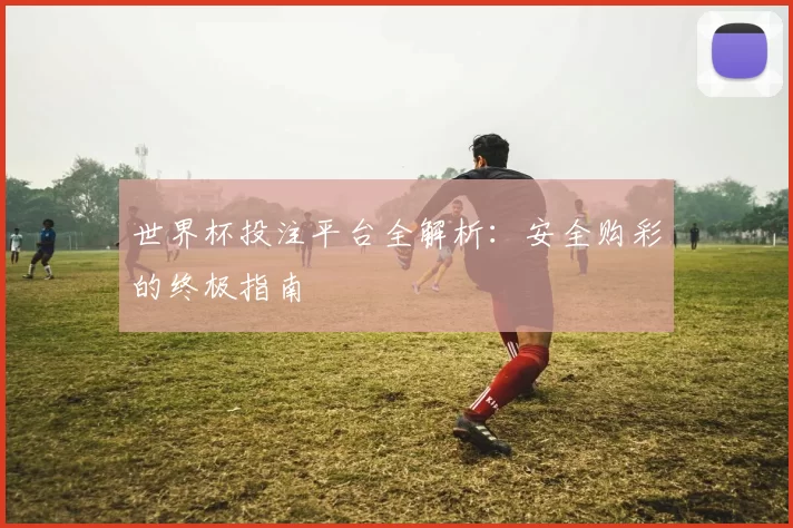 世界杯投注平台全解析：安全购彩的终极指南