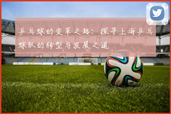 乒乓球的变革之路：探寻上海乒乓球队的转型与发展之道