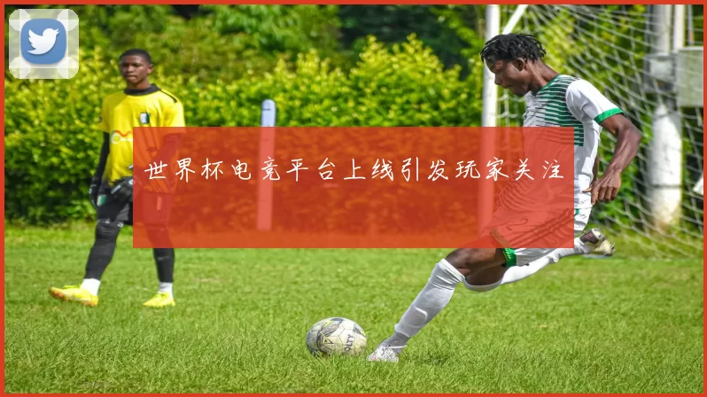 世界杯电竞平台上线引发玩家关注