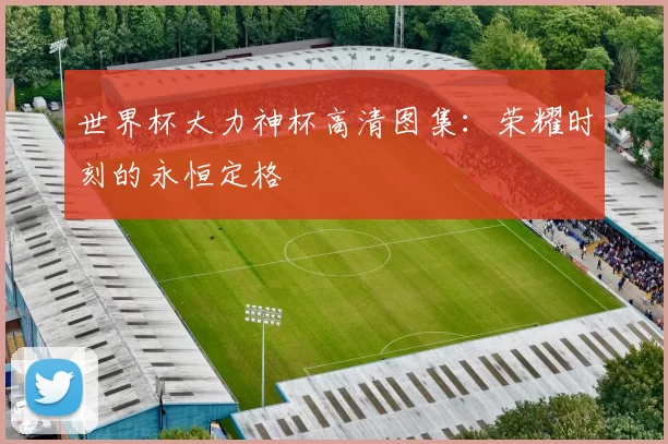 世界杯大力神杯高清图集：荣耀时刻的永恒定格