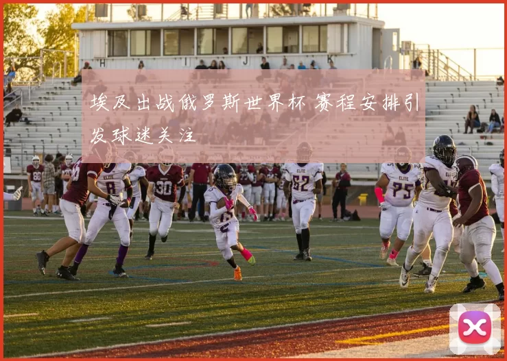 埃及出战俄罗斯世界杯 赛程安排引发球迷关注
