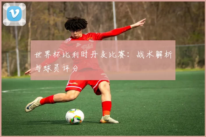 世界杯比利时丹麦比赛：战术解析与球员评分