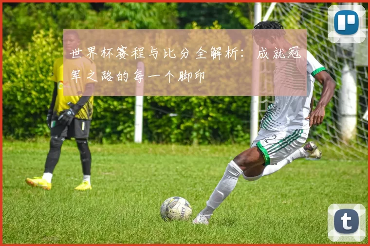 世界杯赛程与比分全解析：成就冠军之路的每一个脚印