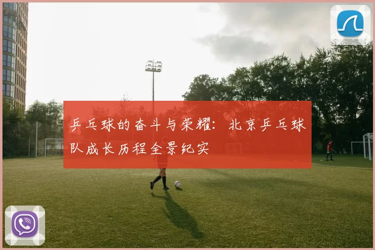 乒乓球的奋斗与荣耀：北京乒乓球队成长历程全景纪实